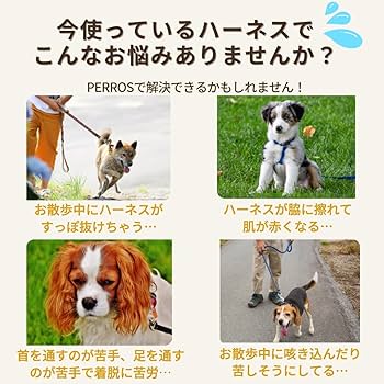 PERROS - 獣医師推奨ペルロスハーネス XS(PA10）サイズ 楽天市場】犬用ハーネス 小型犬【PERROS ペルロスハーネスXS